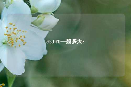 cfo,CFO一般多大?