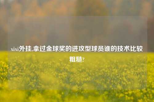 xixi外挂,拿过金球奖的进攻型球员谁的技术比较粗糙?