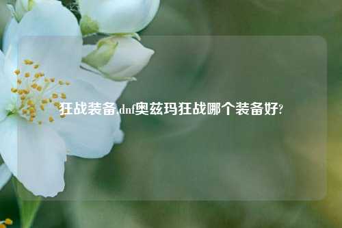 狂战装备,dnf奥兹玛狂战哪个装备好?