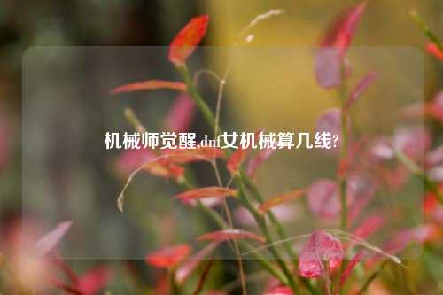 机械师觉醒,dnf女机械算几线?