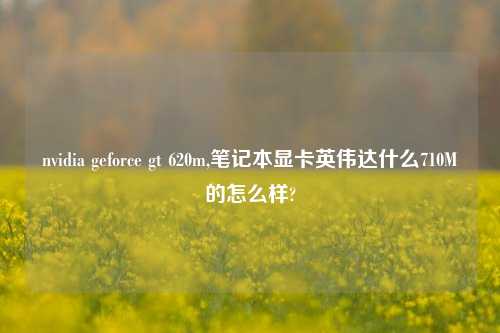 nvidia geforce gt 620m,笔记本显卡英伟达什么710M的怎么样?