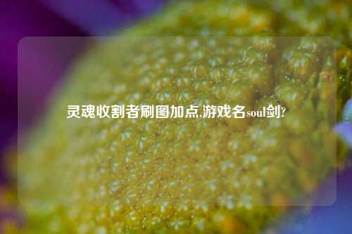 灵魂收割者刷图加点,游戏名soul剑?