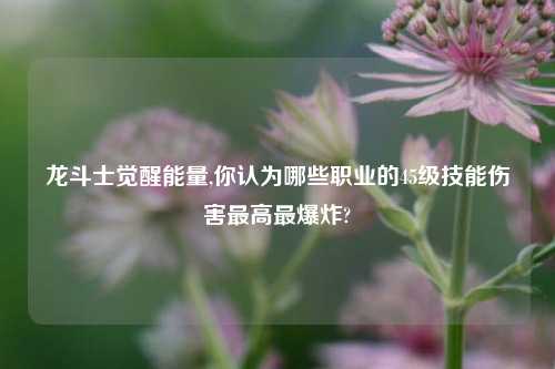 龙斗士觉醒能量,你认为哪些职业的45级技能伤害最高最爆炸?