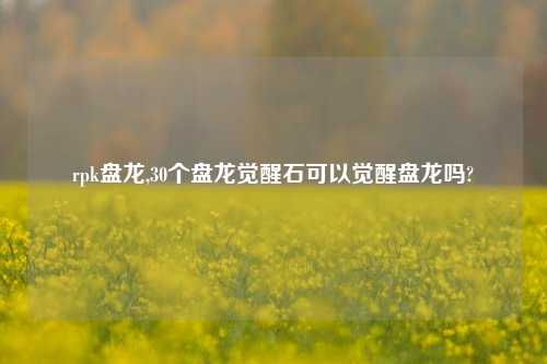 rpk盘龙,30个盘龙觉醒石可以觉醒盘龙吗?