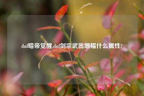 dnf暗帝觉醒,dnf剑宗武器增幅什么属性?