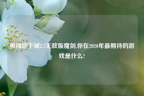 勇闯地下城2.7无敌版魔剑,你在2020年最期待的游戏是什么?