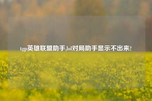 tgp英雄联盟助手,lol对局助手显示不出来?