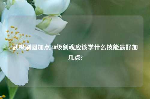 武极刷图加点,40级剑魂应该学什么技能最好加几点?