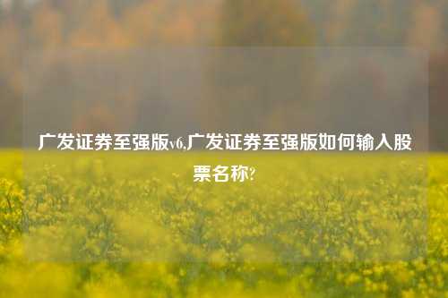 广发证券至强版v6,广发证券至强版如何输入股票名称?