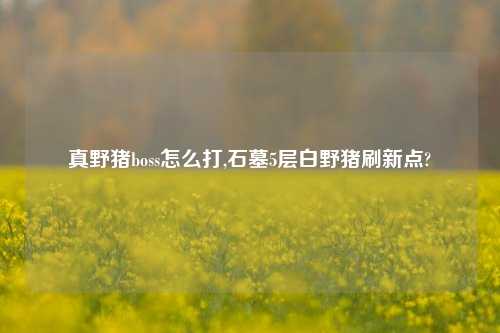 真野猪boss怎么打,石墓5层白野猪刷新点?