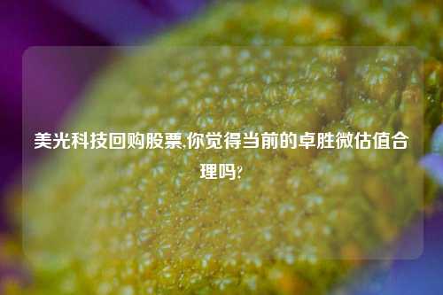 美光科技回购股票,你觉得当前的卓胜微估值合理吗?