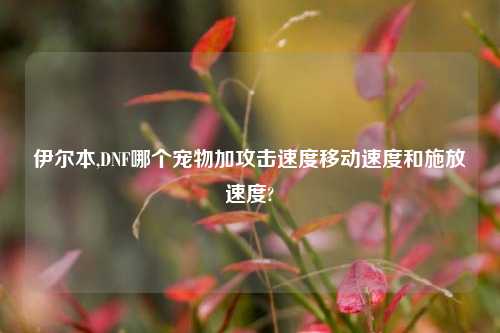 伊尔本,DNF哪个宠物加攻击速度移动速度和施放速度?