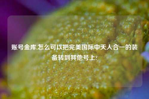 账号金库,怎么可以把完美国际中天人合一的装备转到其他号上?