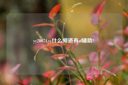 yy20074,yy什么频道有cf辅助?