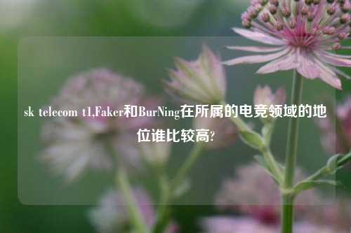 sk telecom t1,Faker和BurNing在所属的电竞领域的地位谁比较高?