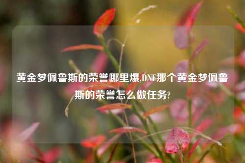 黄金梦佩鲁斯的荣誉哪里爆,DNF那个黄金梦佩鲁斯的荣誉怎么做任务?