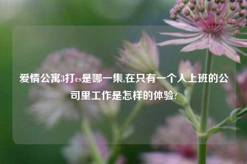 爱情公寓3打cs是哪一集,在只有一个人上班的公司里工作是怎样的体验?