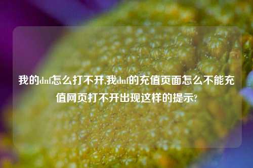 我的dnf怎么打不开,我dnf的充值页面怎么不能充值网页打不开出现这样的提示?