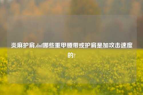 炎麻护肩,dnf哪些重甲腰带或护肩是加攻击速度的?