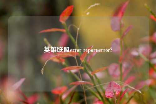 英雄联盟error report,error?