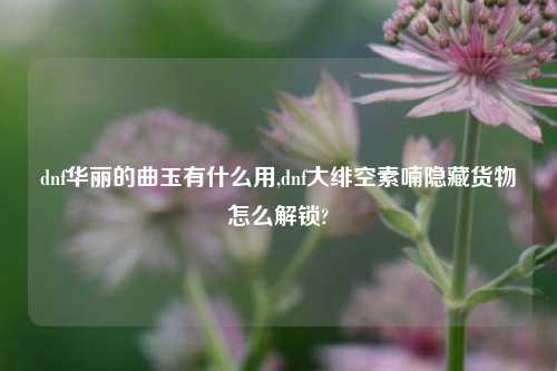 dnf华丽的曲玉有什么用,dnf大绯空素喃隐藏货物怎么解锁?