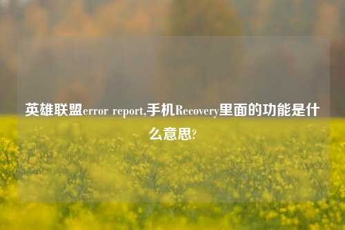 英雄联盟error report,手机Recovery里面的功能是什么意思?
