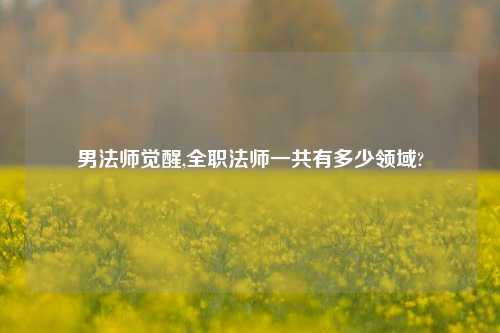 男法师觉醒,全职法师一共有多少领域?