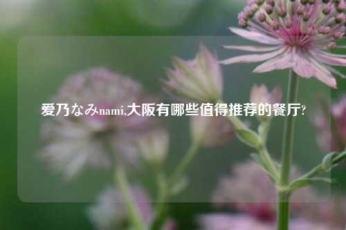 爱乃なみnami,大阪有哪些值得推荐的餐厅?