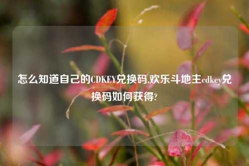 怎么知道自己的CDKEY兑换码,欢乐斗地主cdkey兑换码如何获得?