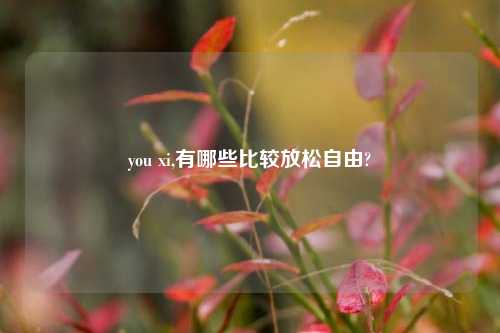 you xi,有哪些比较放松自由?
