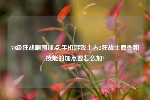 70级狂战刷图加点,手机游戏上古2狂战士属性和技能的加点要怎么加?