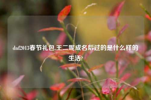 dnf2013春节礼包,王二妮成名后过的是什么样的生活?