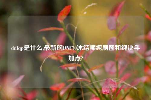 dnfqp是什么,最新的DNF70冰结师纯刷图和纯决斗加点?