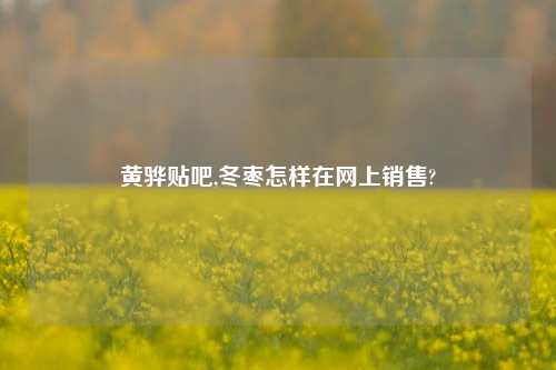 黄骅贴吧,冬枣怎样在网上销售?