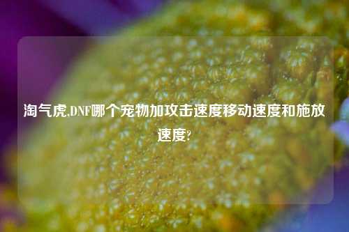 淘气虎,DNF哪个宠物加攻击速度移动速度和施放速度?