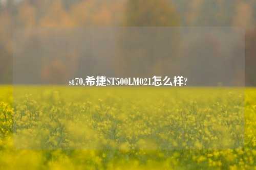 st70,希捷ST500LM021怎么样?
