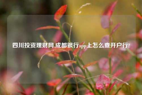 四川投资理财网,成都银行app上怎么查开户行?