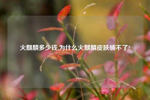 火麒麟多少钱,为什么火麒麟皮肤领不了?