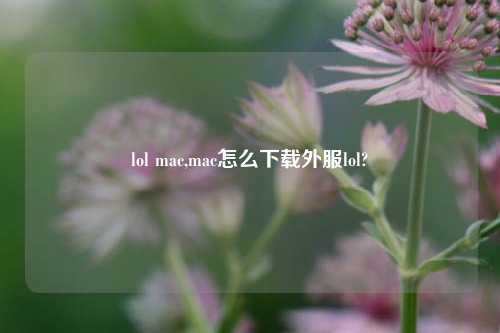 lol mac,mac怎么下载外服lol?