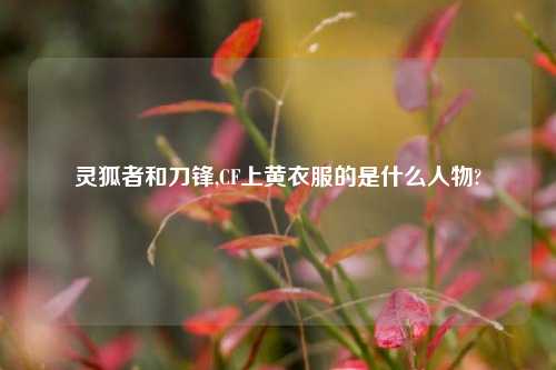 灵狐者和刀锋,CF上黄衣服的是什么人物?