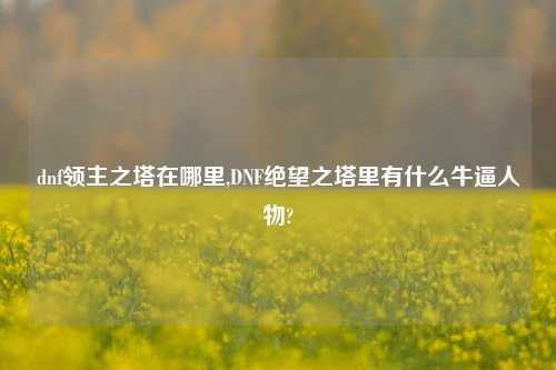 dnf领主之塔在哪里,DNF绝望之塔里有什么牛逼人物?