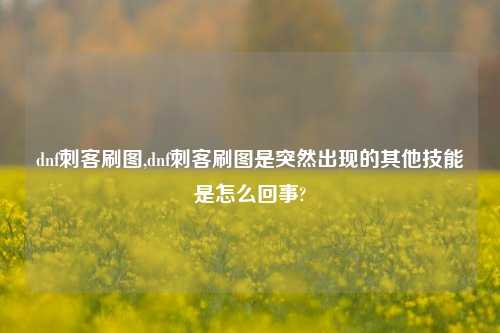 dnf刺客刷图,dnf刺客刷图是突然出现的其他技能是怎么回事?