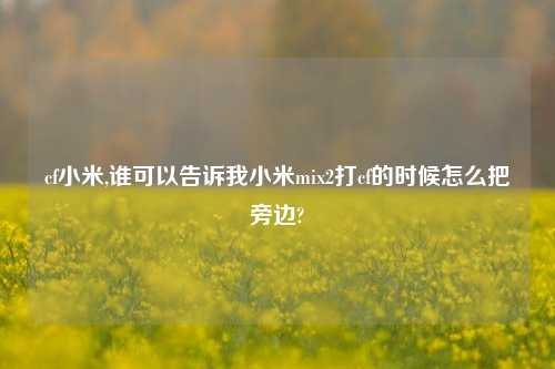 cf小米,谁可以告诉我小米mix2打cf的时候怎么把旁边?