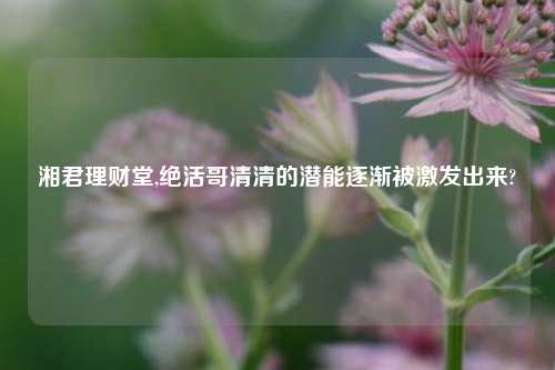 湘君理财堂,绝活哥清清的潜能逐渐被激发出来?