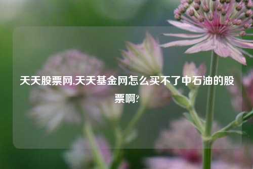 天天股票网,天天基金网怎么买不了中石油的股票啊?
