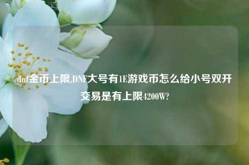 dnf金币上限,DNF大号有1E游戏币怎么给小号双开交易是有上限4200W?