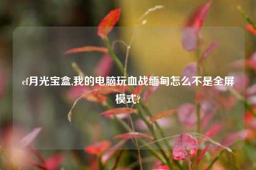 cf月光宝盒,我的电脑玩血战缅甸怎么不是全屏模式?
