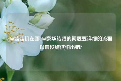 dnf娃娃机在哪,dnf豪华结婚的问题要详细的流程以前没结过怕出错?