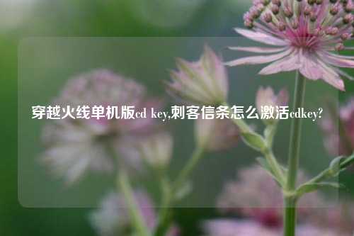 穿越火线单机版cd key,刺客信条怎么激活cdkey?