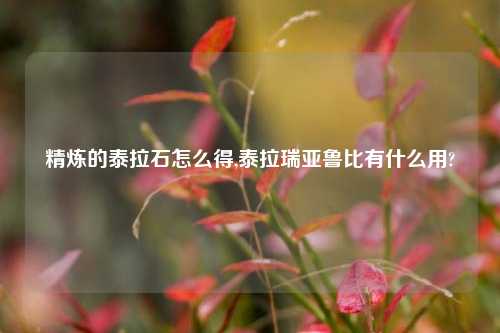 精炼的泰拉石怎么得,泰拉瑞亚鲁比有什么用?